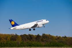 Airbus 319