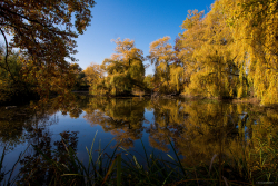 Heusenstamm, Park