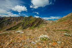 Berge, Österreich