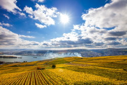 Rüdesheim, Rhein