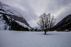 Karwendel