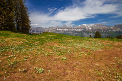 Bergtour: Walensee