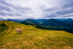 Bayern, Berge