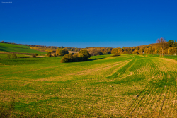 goldener Hebst