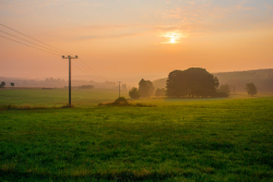 Taunus