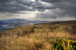 Taunus