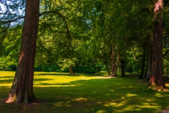 Rödelcheim, Brentanopark